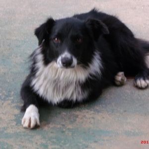 Meet your Posher, Brenda